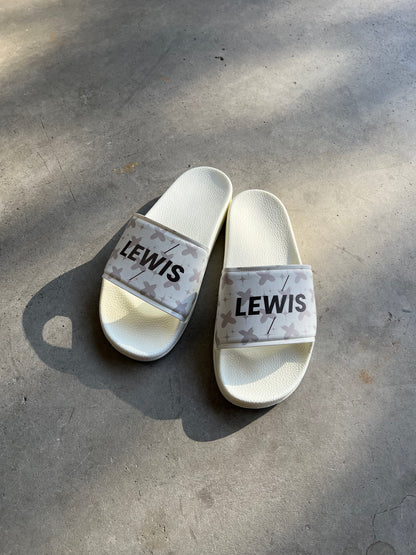 Lewis slides