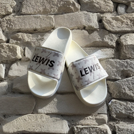 Lewis slides